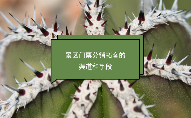 景區(qū)門票分銷拓客的渠道和手段