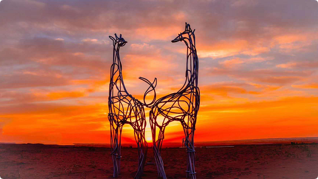 武威研學線路：大漠風情體驗游