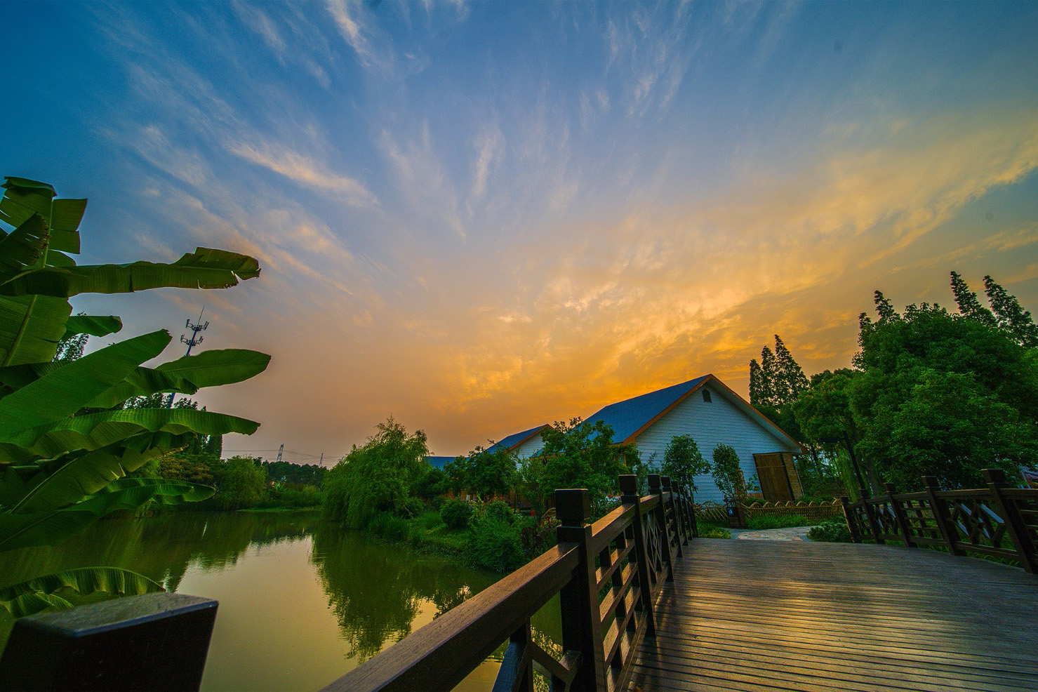 蔣巷生態(tài)園