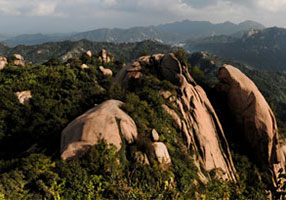 景區(qū)運營解決方案4