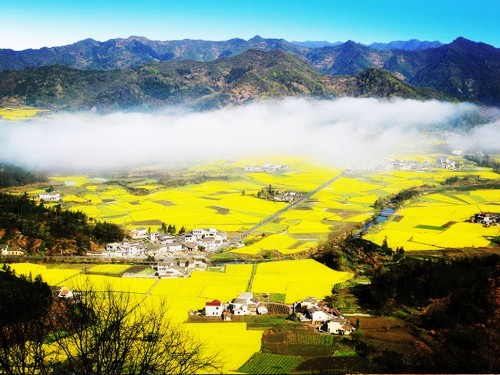 做景區(qū)不賺錢(qián)，問(wèn)題究竟出在哪？