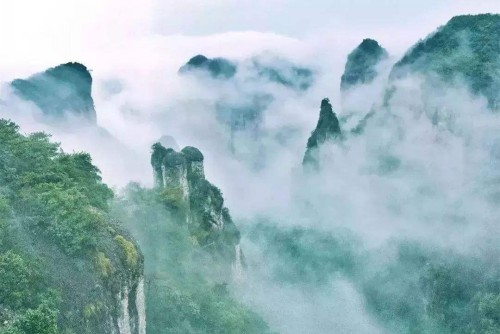 20190528958179.jpg 4.jpg