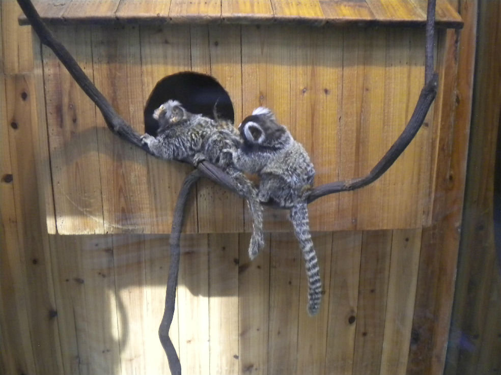 20190603115380.jpg 20190603115380.jpg