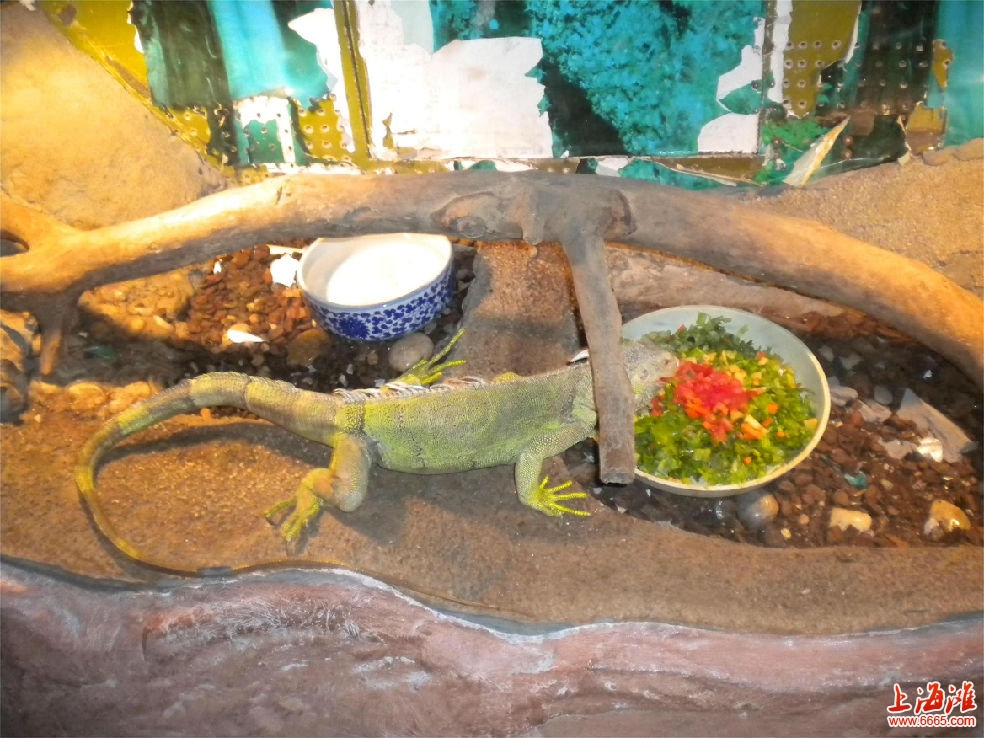 20190603525004.jpg 195139fvpwi4fa2hvi4v4o.jpg