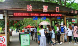 景區(qū)電子二維碼票相比手撕票優(yōu)勢在哪