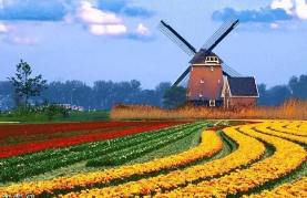 景點(diǎn)售票管理系統(tǒng)上線平江大風(fēng)車樂園