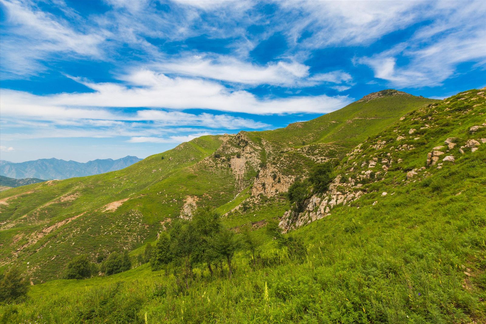 門票預(yù)約小程序都有哪些？真的好用嗎？