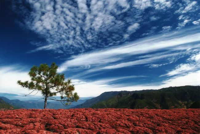 旅游景區(qū)售票系統(tǒng)接入美團的意義是什么？實現(xiàn)線上一體化