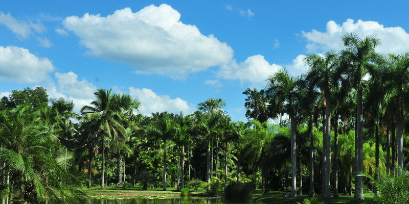 旅游景區(qū)營(yíng)銷方案:知識(shí)營(yíng)銷