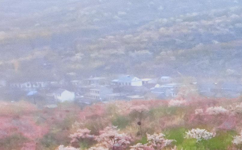 景區(qū)營銷銷售促進策略制定