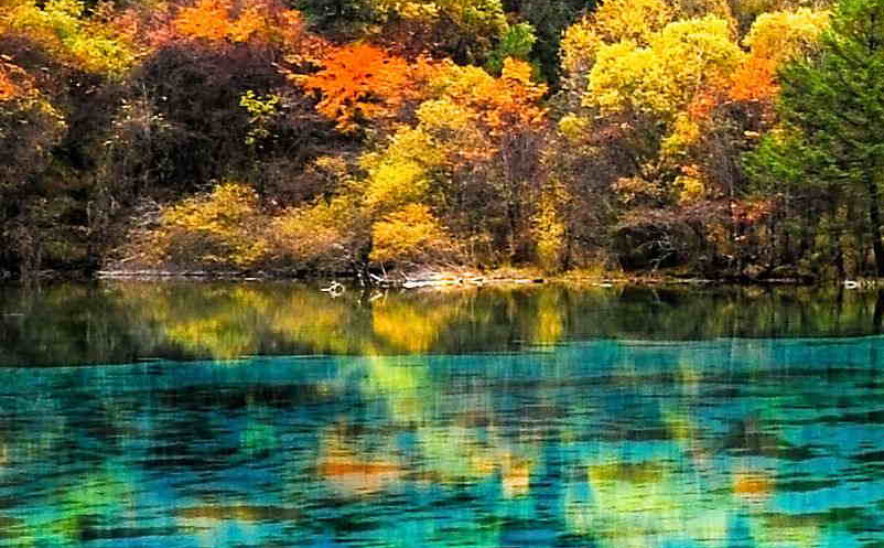 四川?。旱?025年，基本建成文化強(qiáng)省，旅游強(qiáng)省，世界重要旅游目的地建設(shè)取得突破