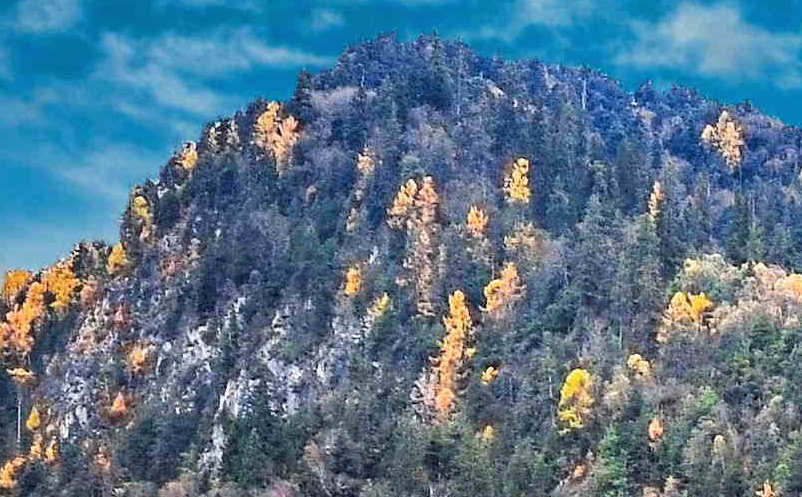 景區(qū)項(xiàng)目開發(fā)