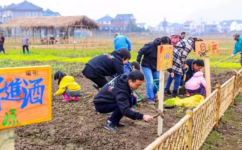 鄉(xiāng)村旅游景區(qū)沉浸式體驗