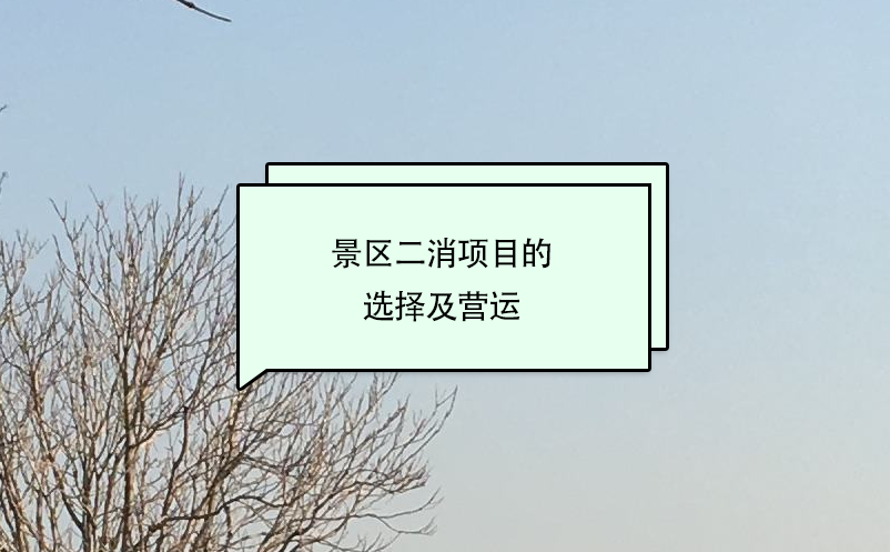 景區(qū)二消項(xiàng)目的選擇及營(yíng)運(yùn)