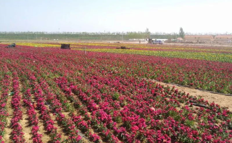 鄉(xiāng)村旅游產(chǎn)業(yè)升級的六種方式