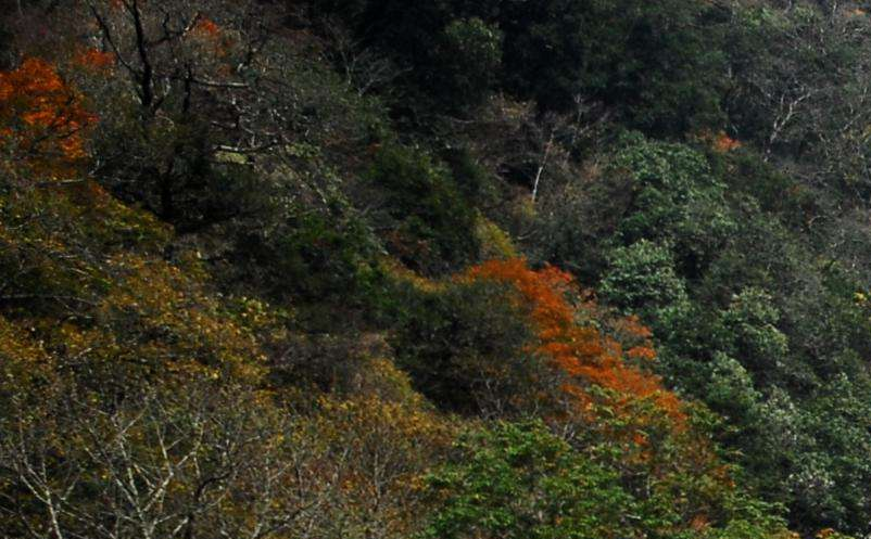 影視旅游目的地集合粉絲群體，助力景區(qū)精準(zhǔn)營銷