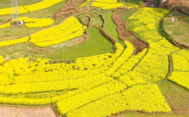 鄉(xiāng)村旅游創(chuàng)新型營(yíng)銷策略