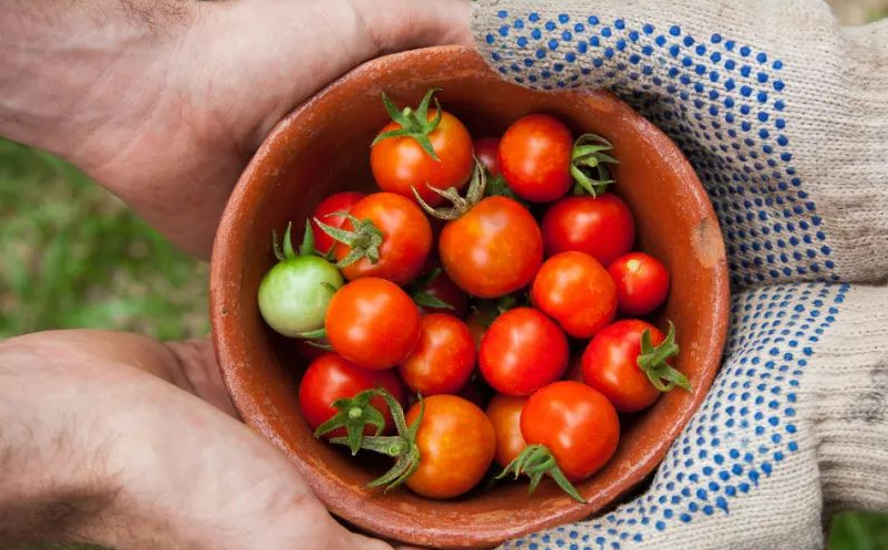 鄉(xiāng)村旅游項目開發(fā) 鄉(xiāng)村旅游項目開發(fā)