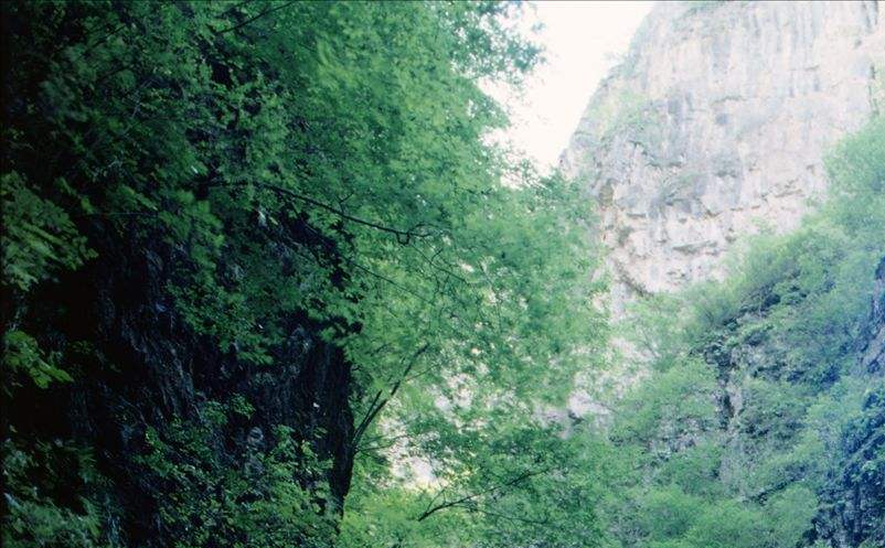 景區(qū)定價策略