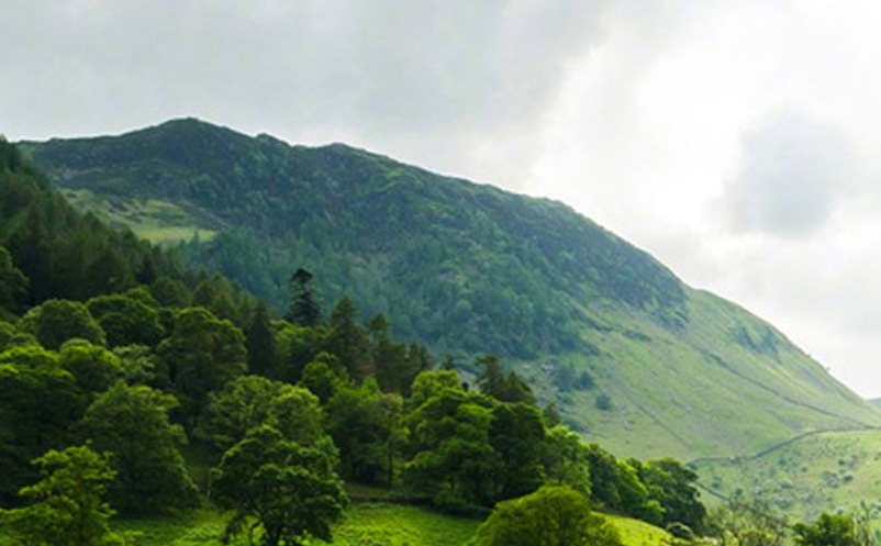 智慧旅游需要數(shù)字鄉(xiāng)村提質(zhì)增效