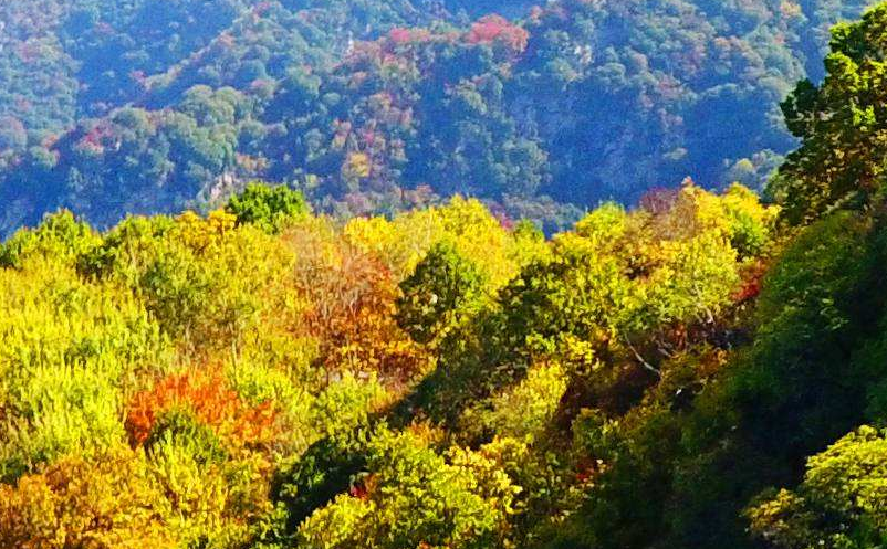 景區(qū)營銷策略