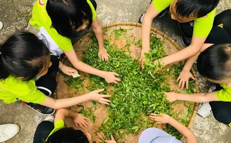 親子研學(xué)、家庭休閑為主要出游動(dòng)機(jī)