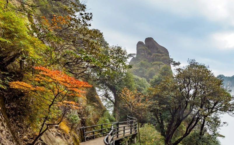 體驗經(jīng)濟 體驗經(jīng)濟