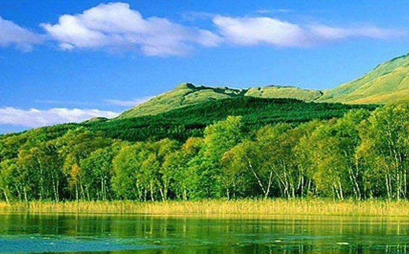 景區(qū)互聯(lián)網(wǎng)短視頻營銷