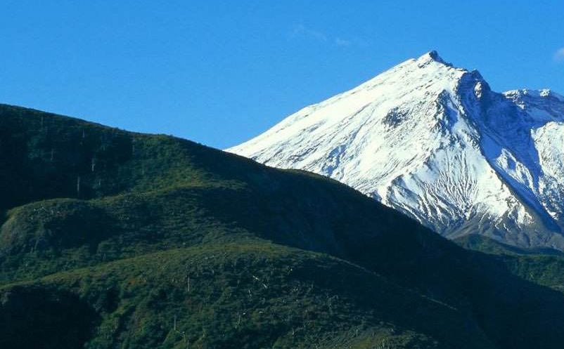 景區(qū)新媒體營銷