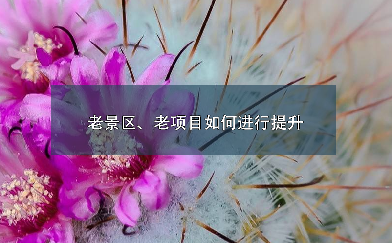 老景區(qū)、老項(xiàng)目如何進(jìn)行提升
