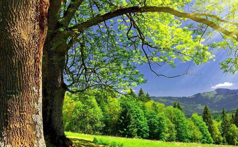 微度假成為了旅行新風(fēng)尚