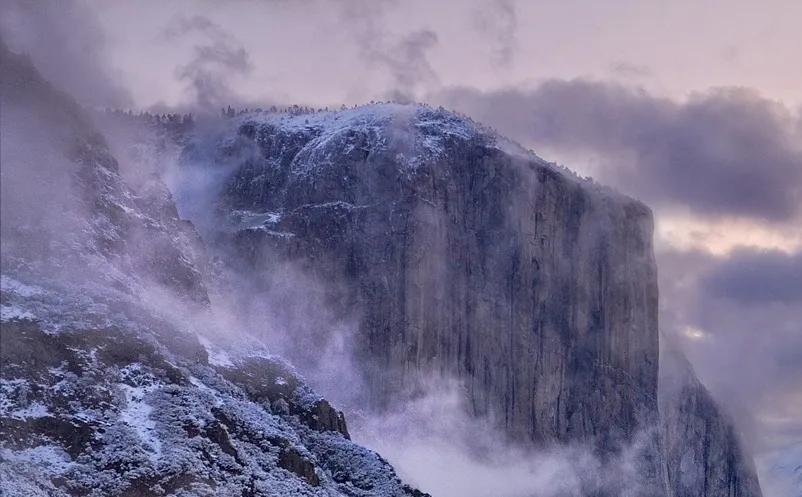 1647502177651858.png image.png