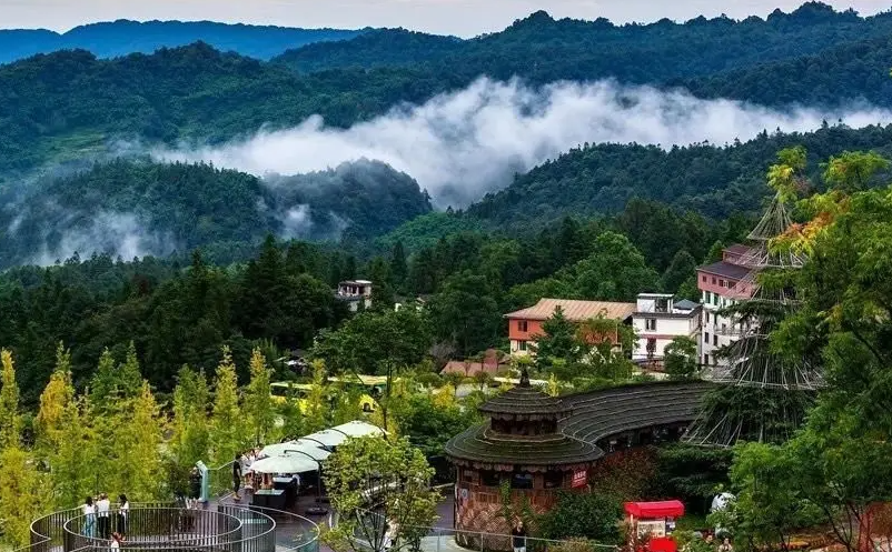 1650008143922023.png image.png