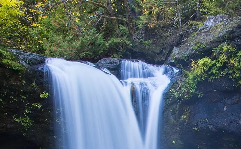 1652258612522708.png image.png