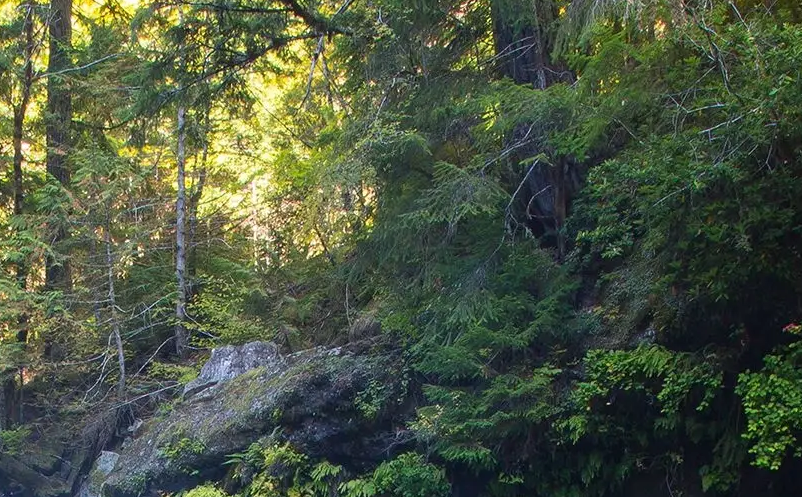 1652258626637273.png image.png