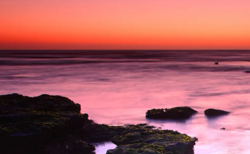 1652423134649875.png image.png