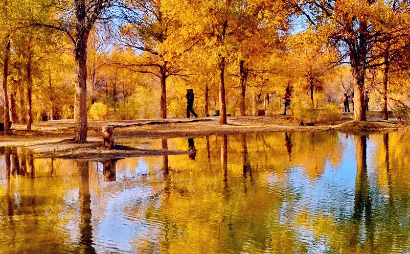 旅游形態(tài)從以“體能性”為重心轉(zhuǎn)向“體能性+技能性”雙發(fā)展