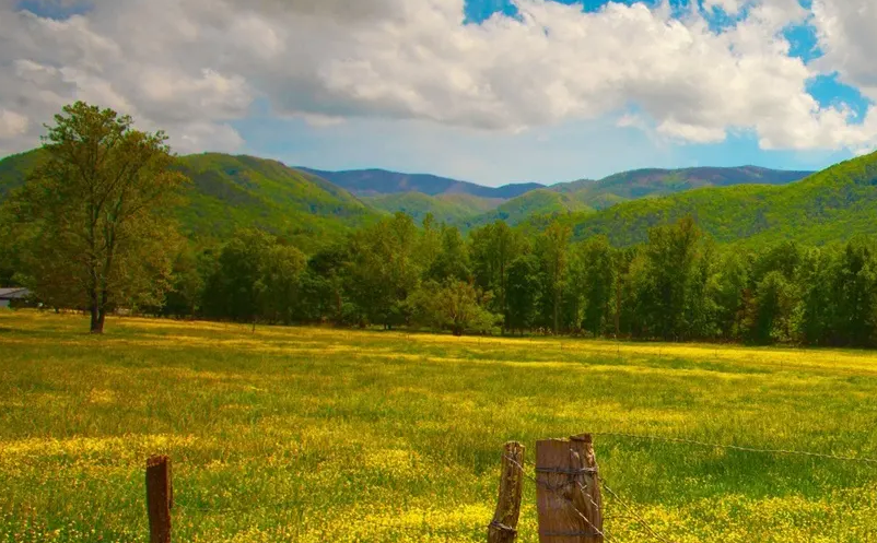 旅游要素配置從“組合化”轉(zhuǎn)向“獨立化”