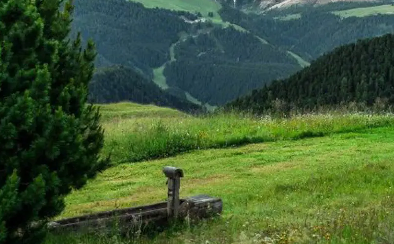 旅游融合模式從“旅游+”轉(zhuǎn)向”+旅游”