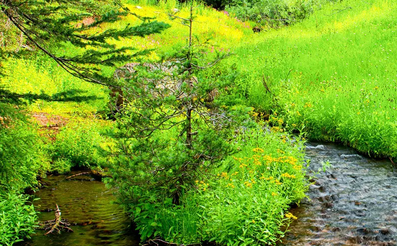 1652693606781407.png image.png