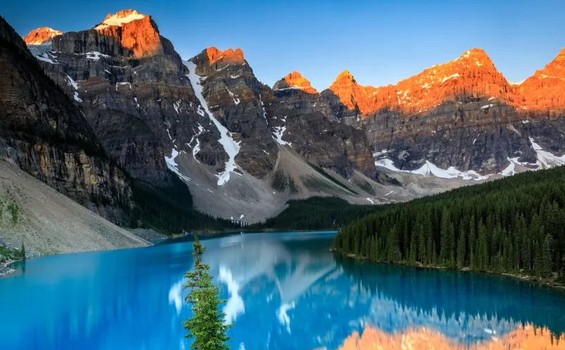 1653373867524037.png image.png