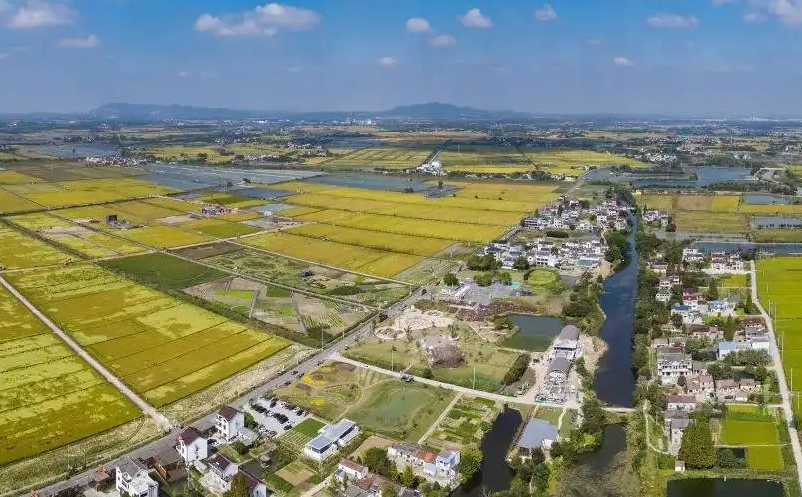 推進鄉(xiāng)村振興和城鄉(xiāng)融合發(fā)展面臨的主要問題與對策建議