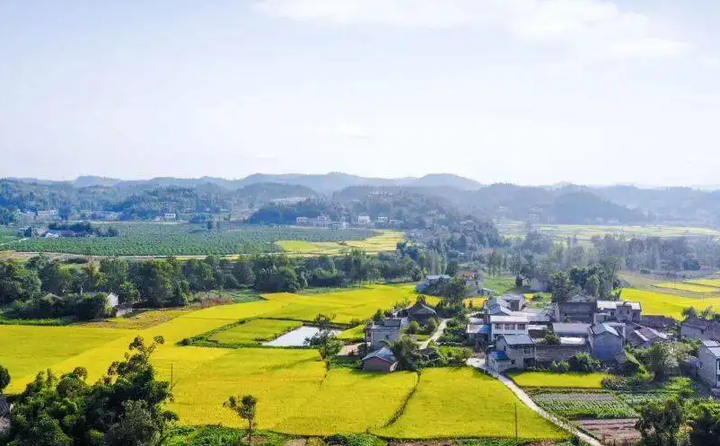 1656056735237925.png image.png