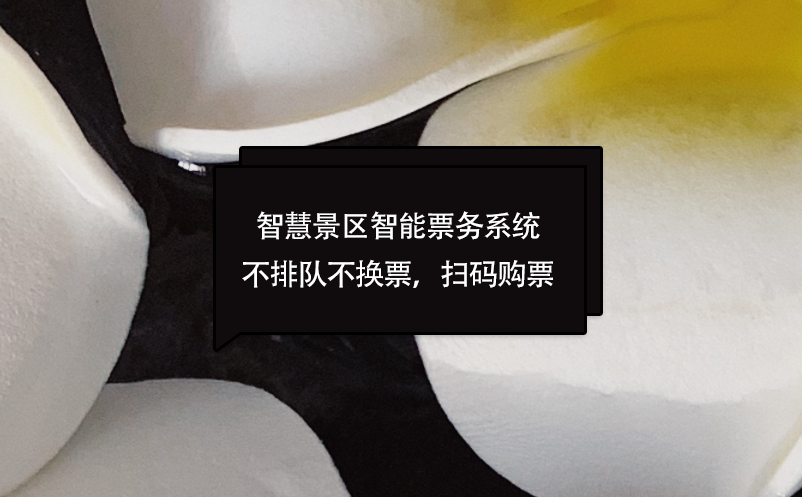 智慧景區(qū)智能票務(wù)系統(tǒng)不排隊(duì)不換票，掃碼購(gòu)票