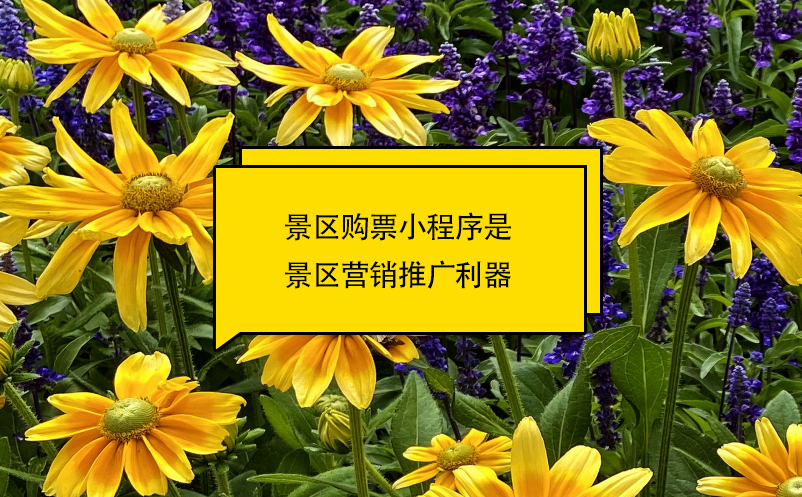 景區(qū)購票小程序是景區(qū)營銷推廣利器