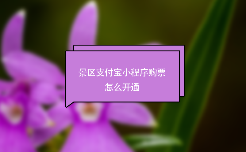 景區(qū)支付寶小程序購票怎么開通？