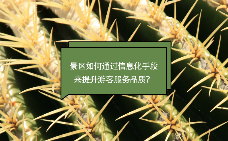 景區(qū)如何通過信息化手段來提升游客服務(wù)品質(zhì)？