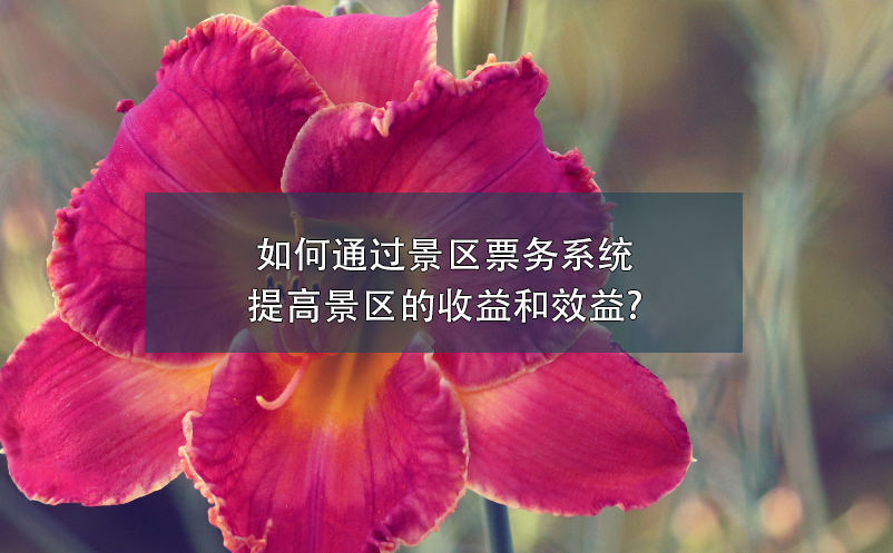 如何通過(guò)景區(qū)票務(wù)系統(tǒng)提高景區(qū)的收益和效益?