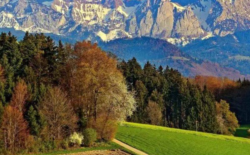 社保卡文旅一卡通（社?？ń尤刖皡^(qū)票務(wù)系統(tǒng)）