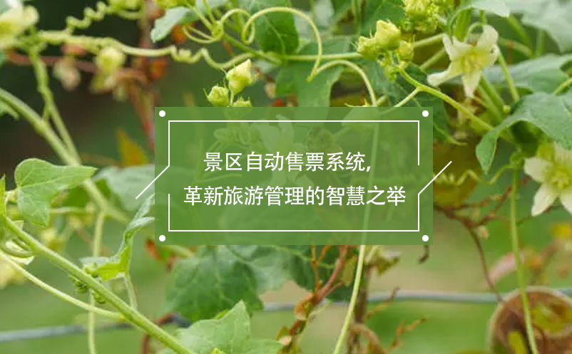 景區(qū)自動(dòng)售票系統(tǒng)，革新旅游管理的智慧之舉